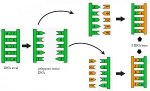 Sintesis Protein Pengertian Dan Prosesnya Dosenbiologi