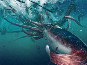 Colossal Squid