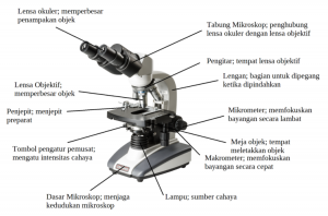Bagian Bagian Mikroskop