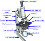  Cara Menggunakan Mikroskop  Cahaya yang Baik dan Benar 