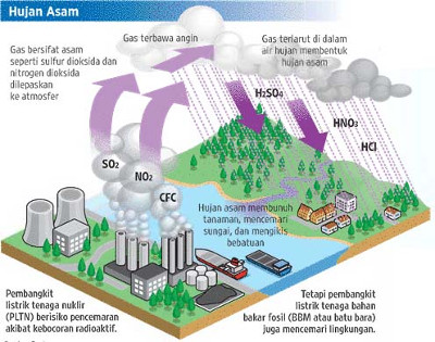 Proses Terjadinya Hujan Asam : Dampak Dan Pencegahan - DosenBiologi.com